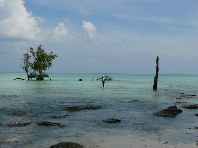 p1090914.jpg