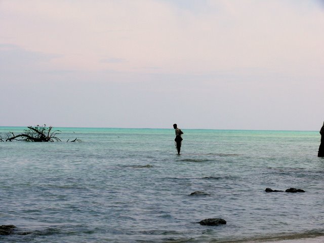 p1090916.jpg