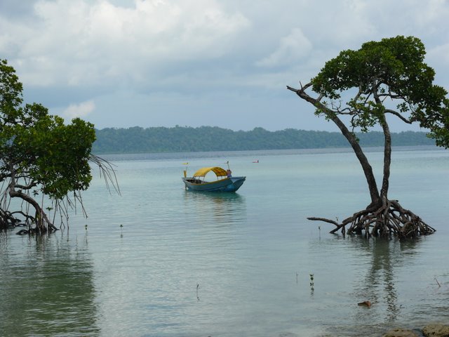 p1100258.jpg